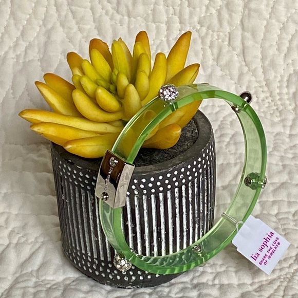 Lia Sophia Glazed Pistachio Lucite Bangle Bracelet - Picture 3 of 6